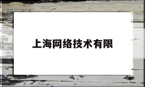 上海网络技术有限(上海网络技术有限公司)