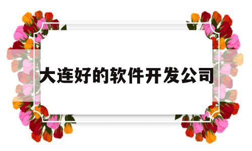 大连好的软件开发公司的简单介绍