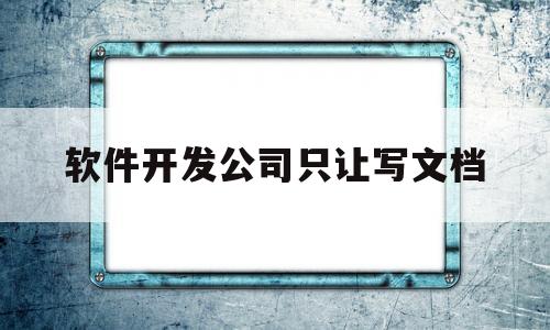 软件开发公司只让写文档(开发需要写软件使用说明吗)