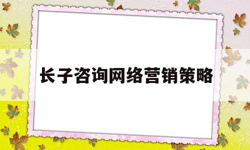 关于长子咨询网络营销策略的信息