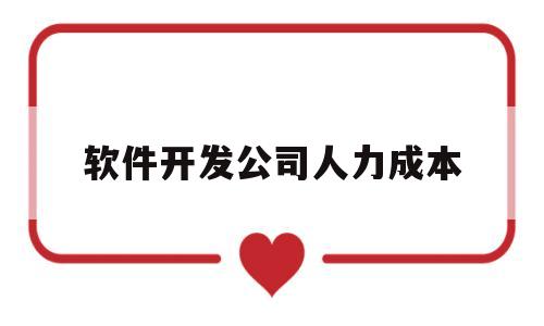 软件开发公司人力成本(软件开发人力成本15万每月)