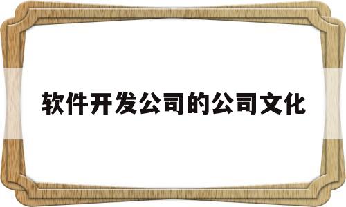 软件开发公司的公司文化(软件开发公司的公司文化理念)