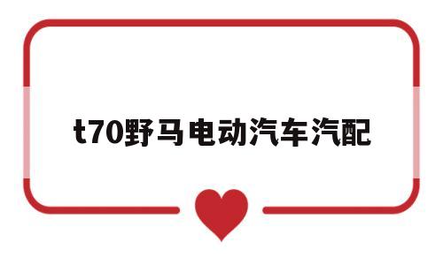 t70野马电动汽车汽配(野马t70配的什么型号电瓶)