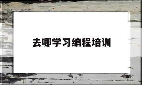 去哪学习编程培训(编程专业需要去培训吗)