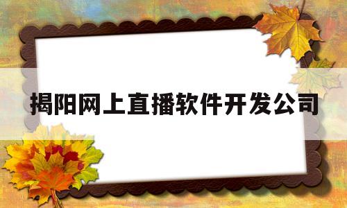 包含揭阳网上直播软件开发公司的词条