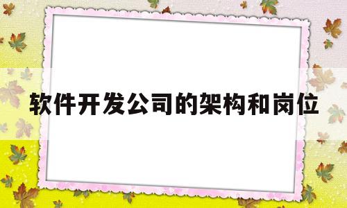 软件开发公司的架构和岗位(软件开发公司组织架构及部门职责)
