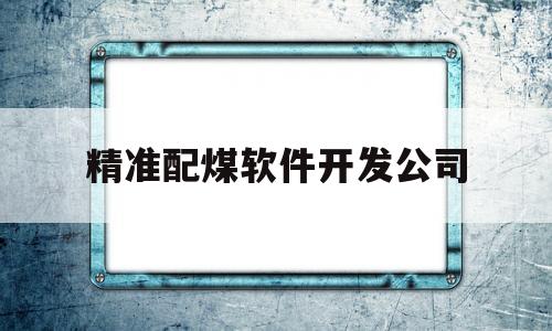 精准配煤软件开发公司的简单介绍