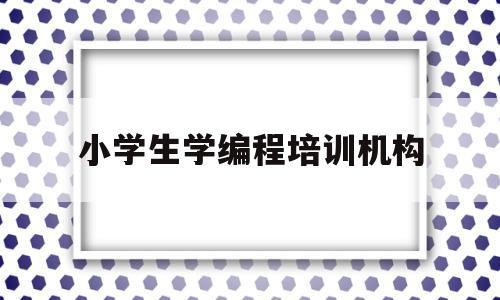 小学生学编程培训机构(小学生学编程的学费一般是多少)