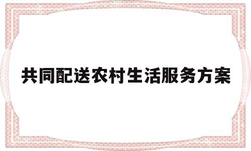 共同配送农村生活服务方案(共同配送农村生活服务方案范文)