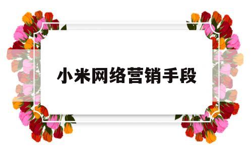 小米网络营销手段(小米公司运用的网络营销方法有哪些?)