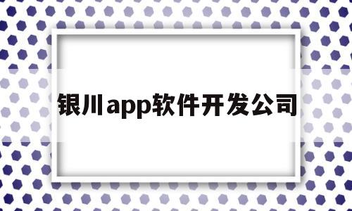 银川app软件开发公司(银川app软件开发公司排名)