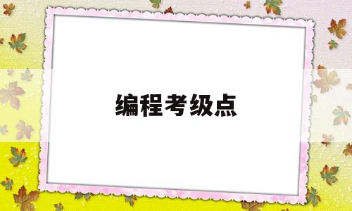 编程考级点(编程考级有什么好处)