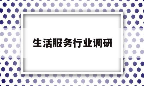生活服务行业调研(生活服务消费市场情况调查)