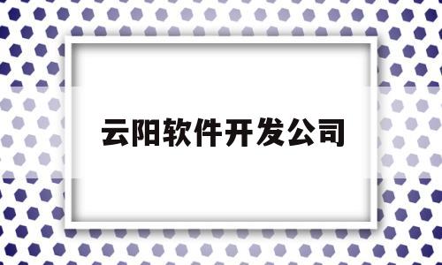 云阳软件开发公司(云阳计算机培训学校)