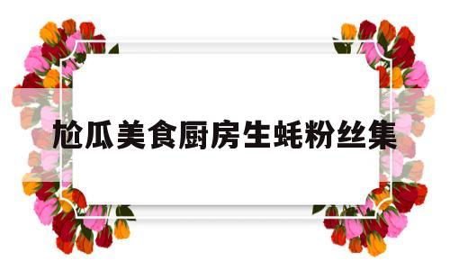 关于尬瓜美食厨房生蚝粉丝集的信息