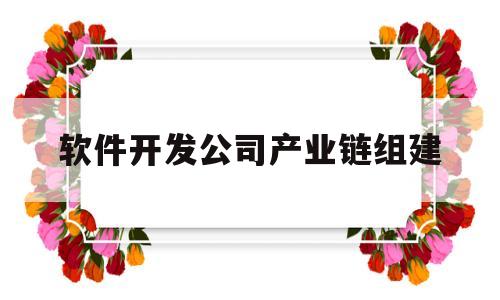 软件开发公司产业链组建(软件开发公司产业链组建方案)