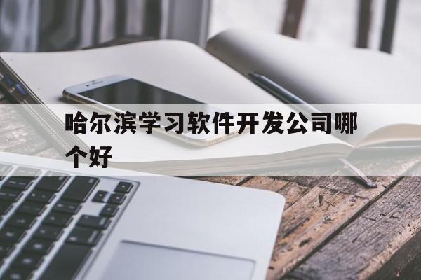 包含哈尔滨学习软件开发公司哪个好的词条
