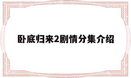 卧底归来2剧情分集介绍(卧底归来第2部续集剧情介绍)