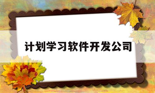 计划学习软件开发公司(软件计划是软件开发的早期和重要阶段)