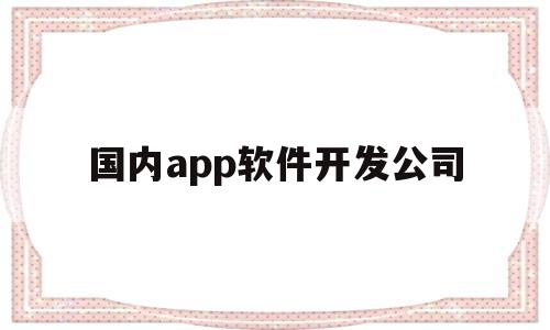 国内app软件开发公司(国内app软件开发公司有哪些)