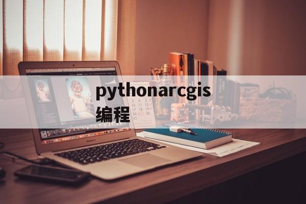 pythonarcgis编程(arcgis下的python编程)