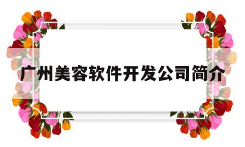 广州美容软件开发公司简介(广州美容软件开发公司简介图片)