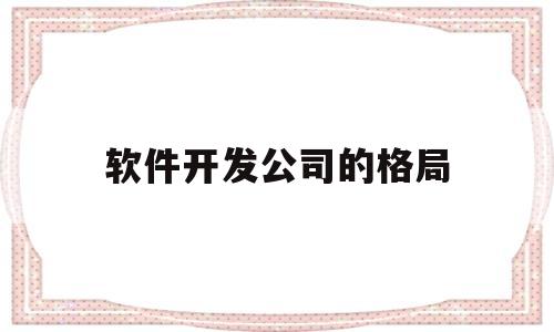 软件开发公司的格局(软件开发的企业)