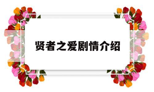 贤者之爱剧情介绍(日剧贤者之爱剧情介绍)