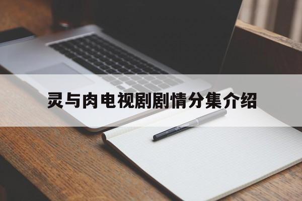灵与肉电视剧剧情分集介绍(灵与肉电视剧简介和演员表名字)