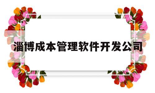 淄博成本管理软件开发公司(淄博成本管理软件开发公司有哪些)