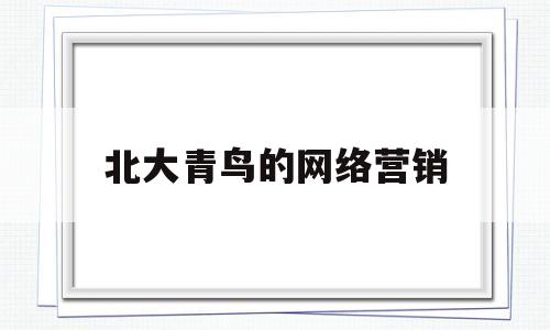 北大青鸟的网络营销(北大青鸟网络营销讲师)