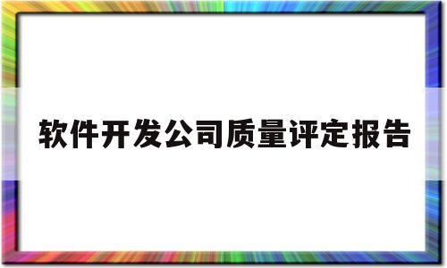 软件开发公司质量评定报告(软件开发公司质量评定报告模板)