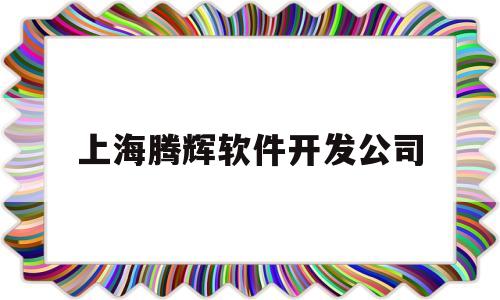 上海腾辉软件开发公司(上海软件开发公司排行榜)