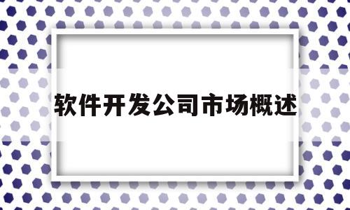 软件开发公司市场概述(软件开发公司市场概述范文)