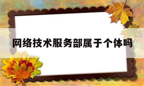网络技术服务部属于个体吗(网络技术服务部属于个体吗还是企业)