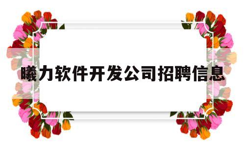 曦力软件开发公司招聘信息(深圳市曦力环保科技有限公司)