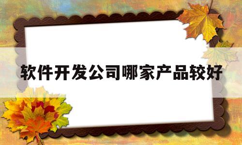 软件开发公司哪家产品较好(软件开发公司哪家产品较好一点)