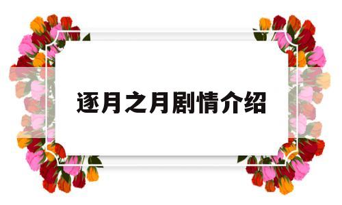 逐月之月剧情介绍(逐月之月剧情介绍大结局)