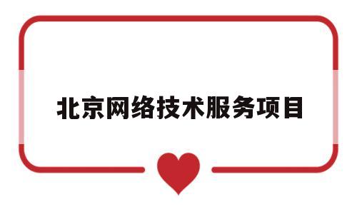 北京网络技术服务项目(北京网络科技责任有限公司)