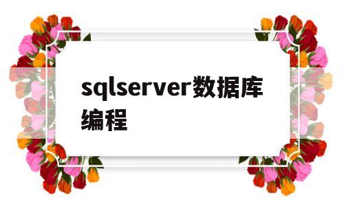 sqlserver数据库编程(sql server编写数据库语句)