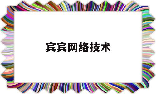 关于宾宾网络技术的信息