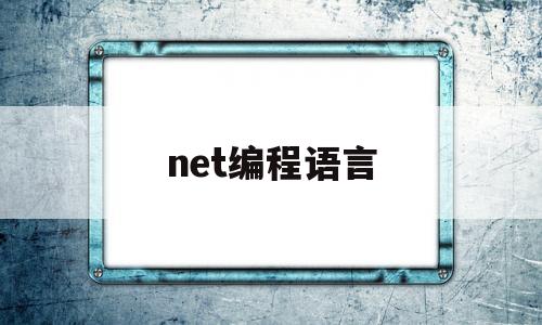 net编程语言(net编程用的什么语言)