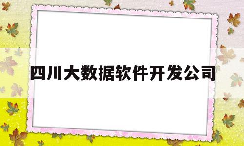 四川大数据软件开发公司(四川大数据产业)