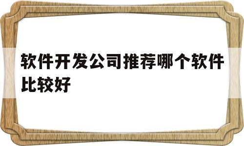 软件开发公司推荐哪个软件比较好(软件开发公司推荐哪个软件比较好呢)