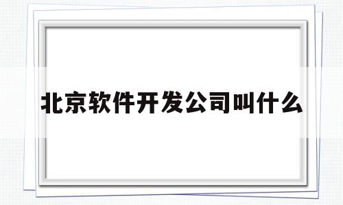 北京软件开发公司叫什么(北京软件开发公司叫什么名称)