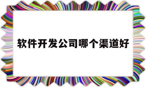 软件开发公司哪个渠道好(软件开发公司哪个渠道好做)
