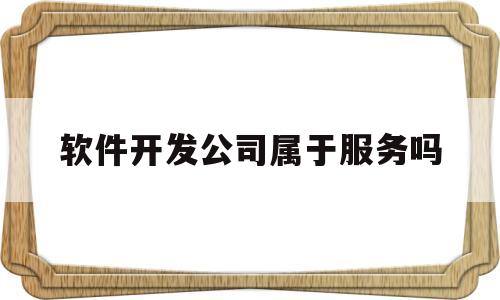软件开发公司属于服务吗(软件开发企业为客户开发软件)