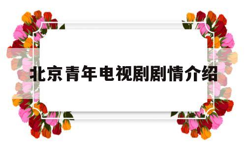 北京青年电视剧剧情介绍(北京青年 电视剧角色介绍)