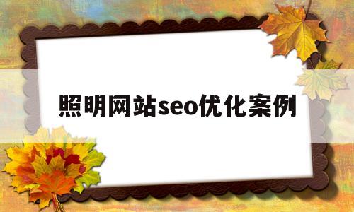 包含照明网站seo优化案例的词条