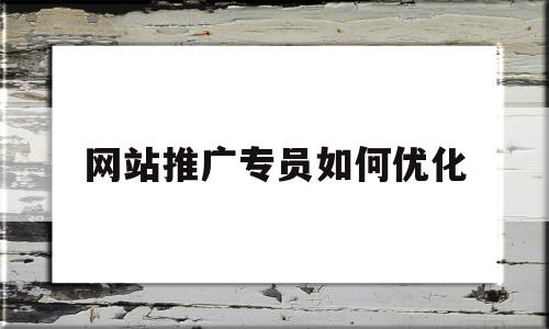 网站推广专员如何优化(网站推广专员如何优化服务)